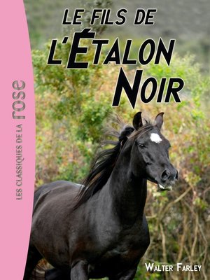 cover image of L'étalon noir 04--Le fils de l'Étalon Noir